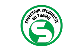 SAUVETEUR SECOURISTE TRAVAIL